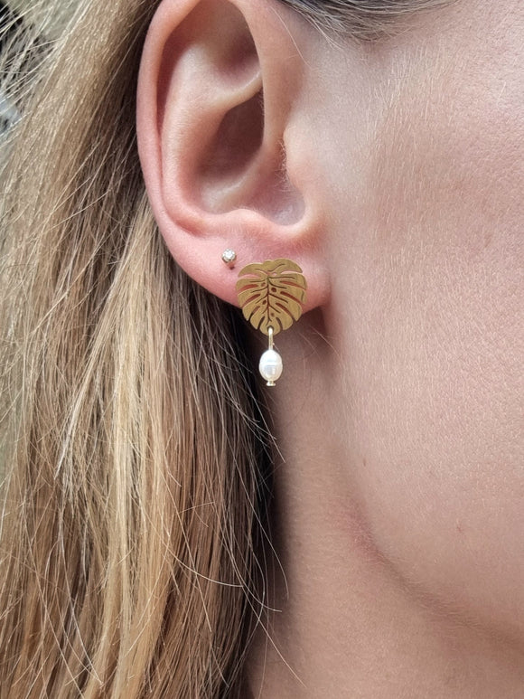 Boucles Monstera